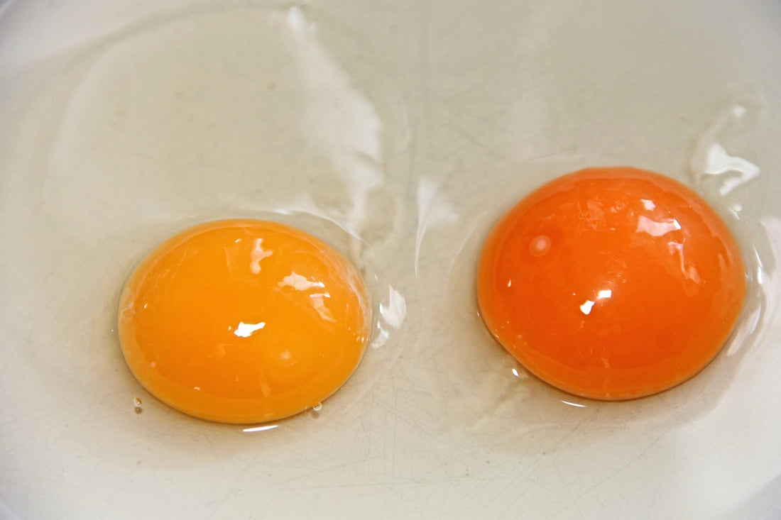 Unlocking the Nutritional Secrets of Orange Egg Yolks