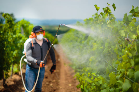 How to Wash Vegetables and Fruits to Remove Pesticides