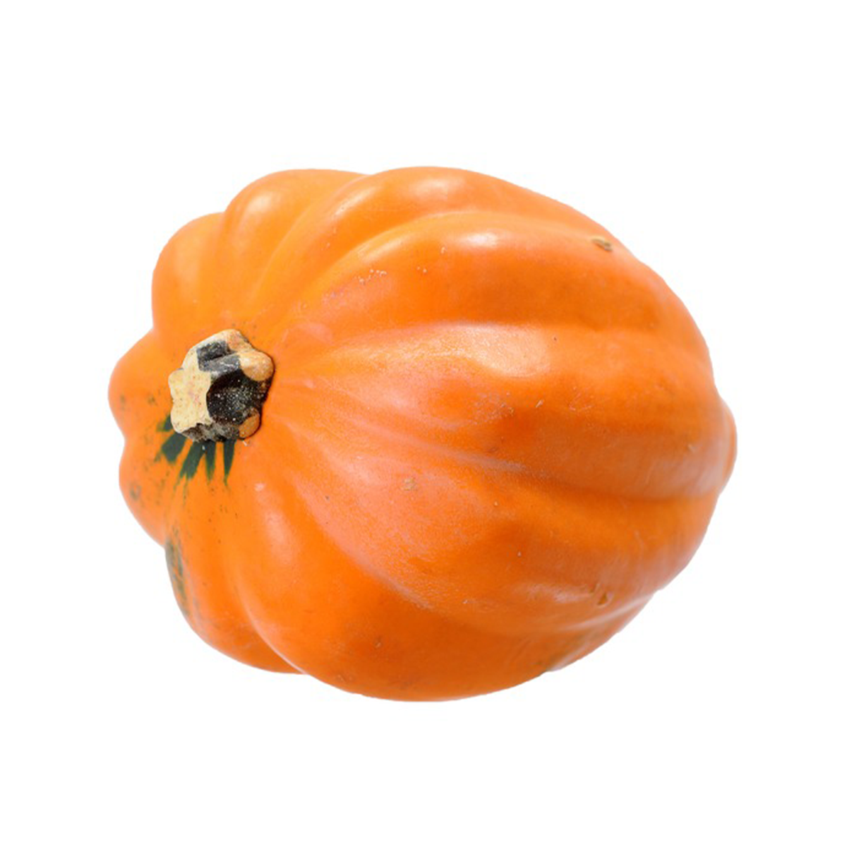 Acorn Golden Squash – Pesticide Free