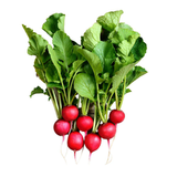 Baby Red Radish - Pesticide Free