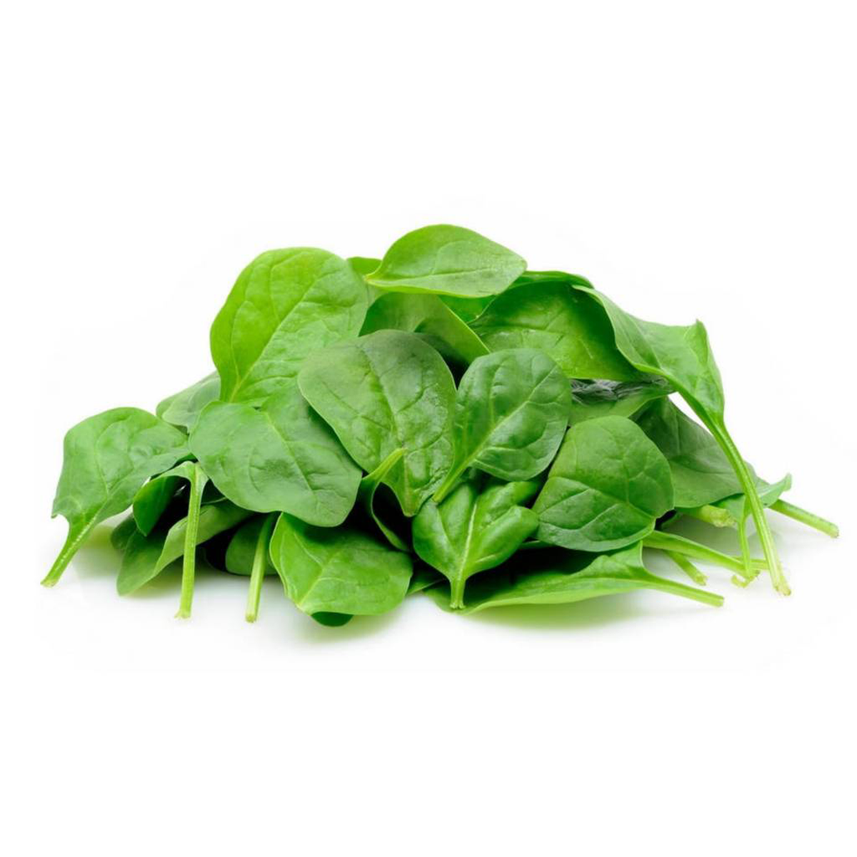 Baby Spinach - Pesticide Free