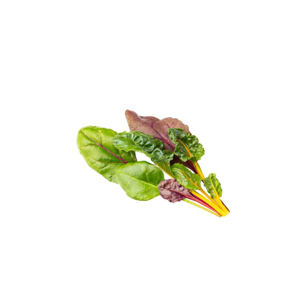 Baby Swiss Chard Flame - Pesticide Free