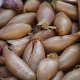 Banana Shallots - Pesticide Free