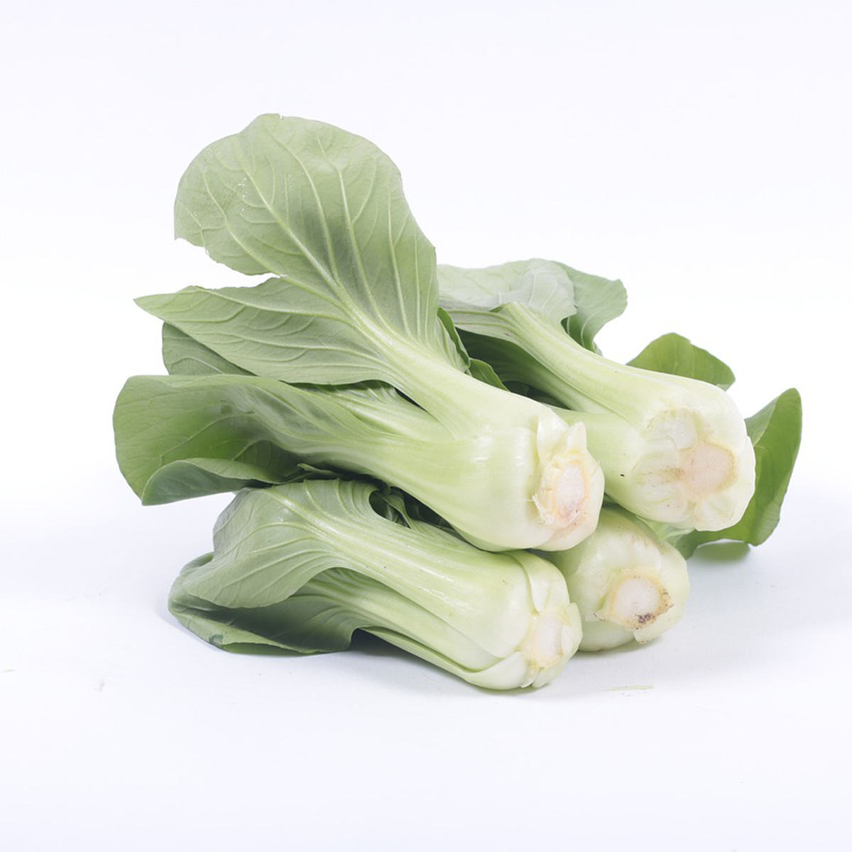 Bok Choy - Pesticide Free