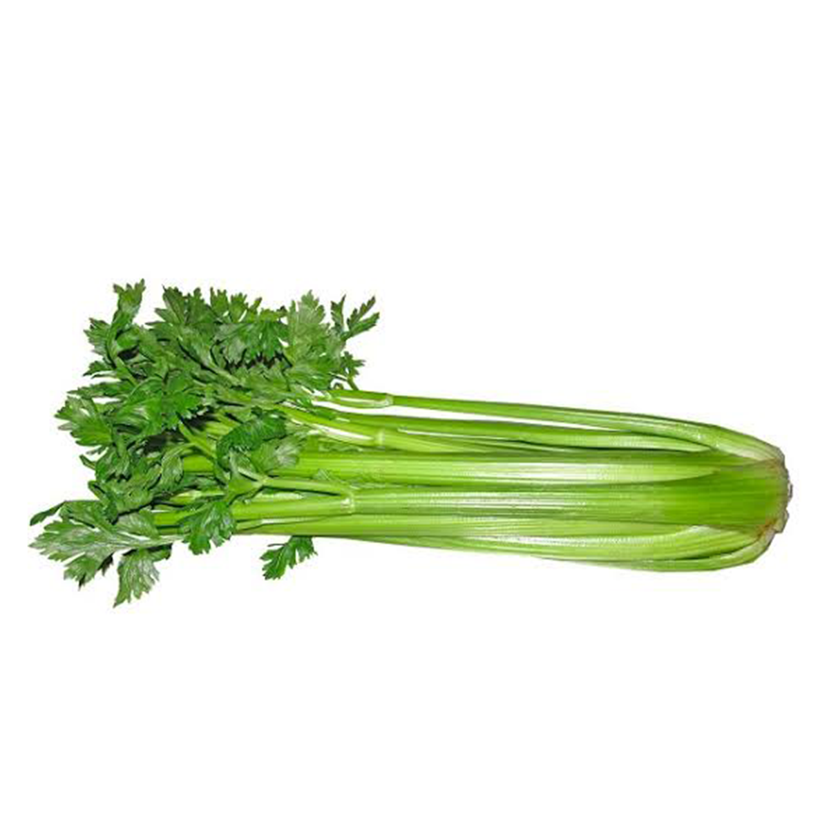 Celery