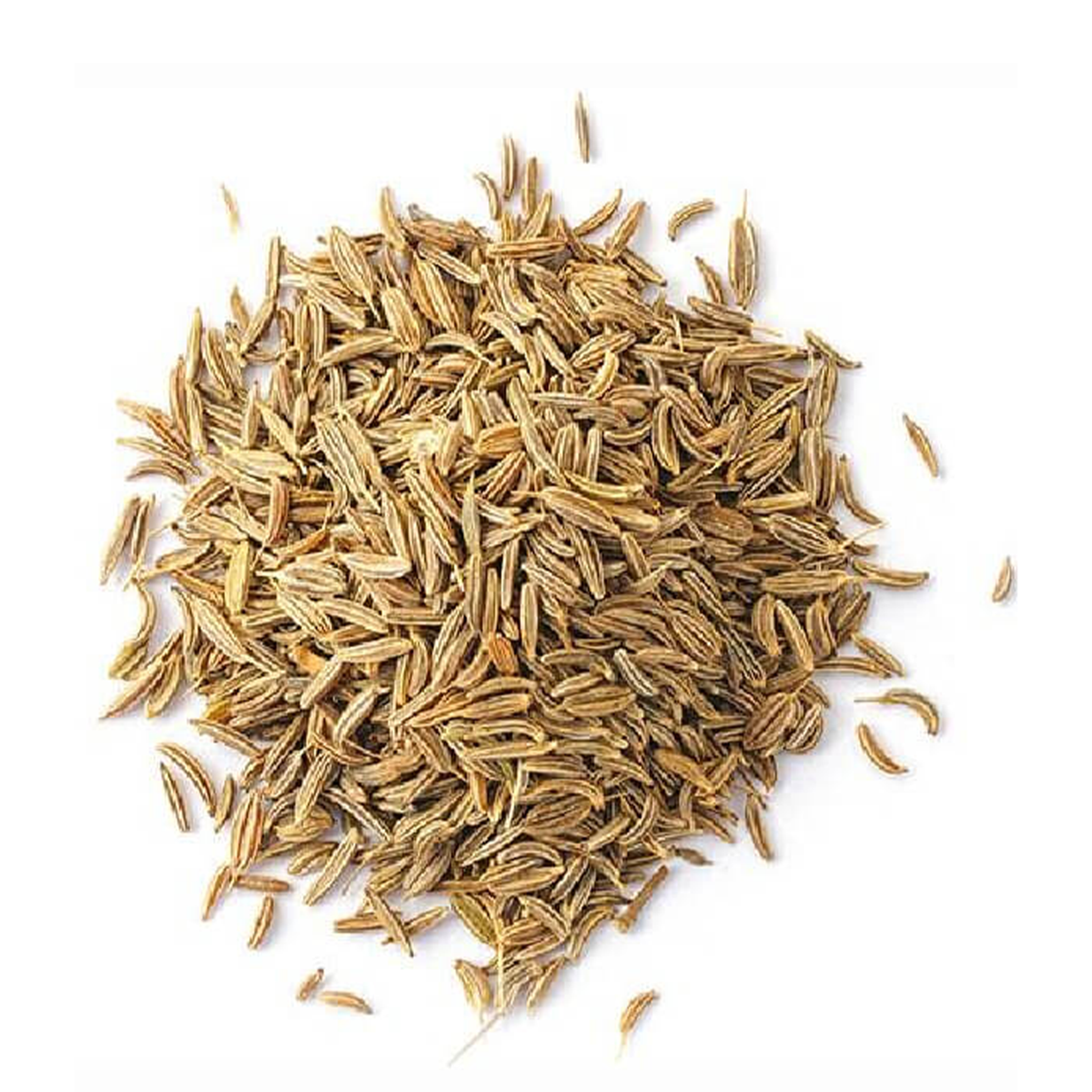 Cumin Seeds Dried