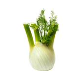 Fennel Root - Pesticide Free