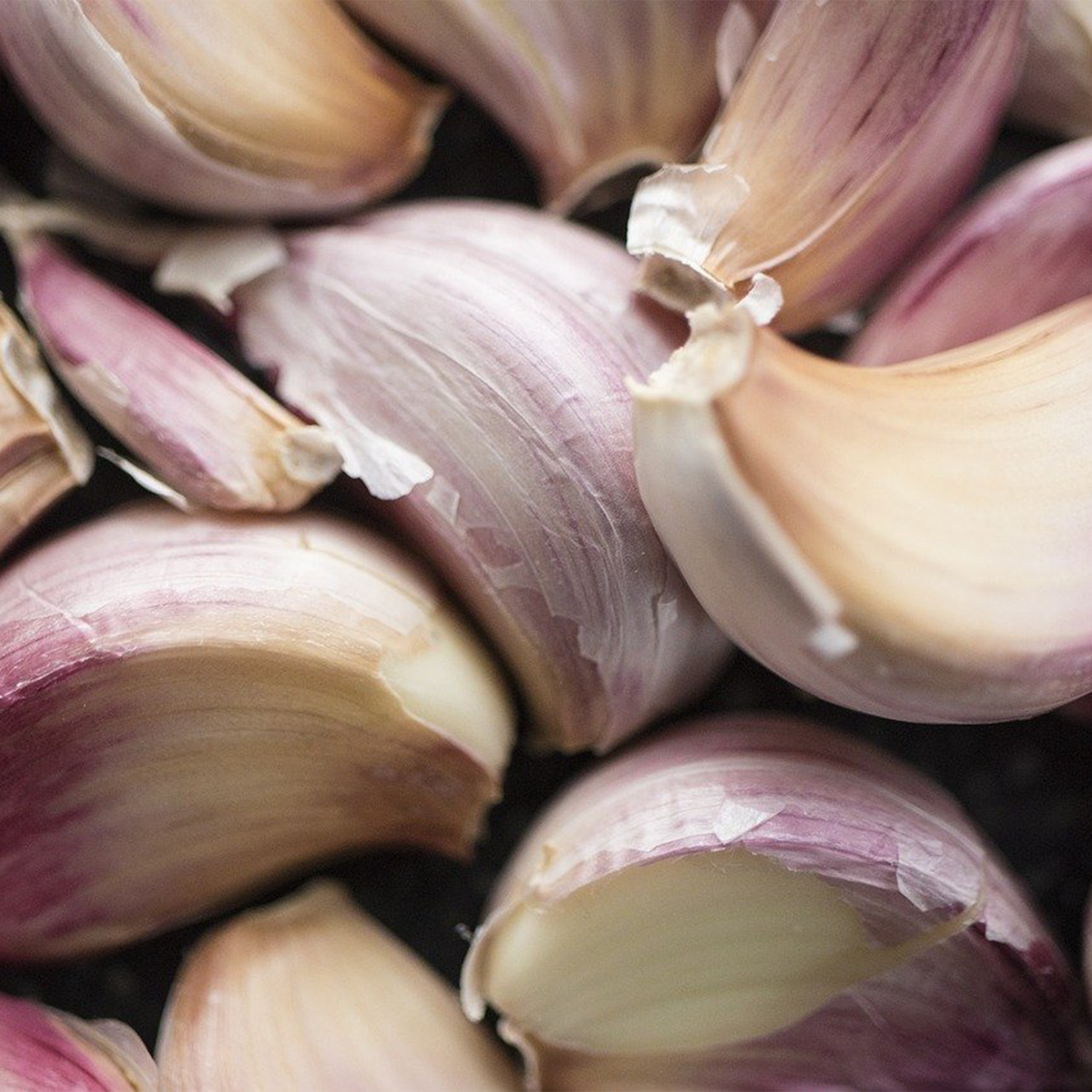 Garlic Powder Dried