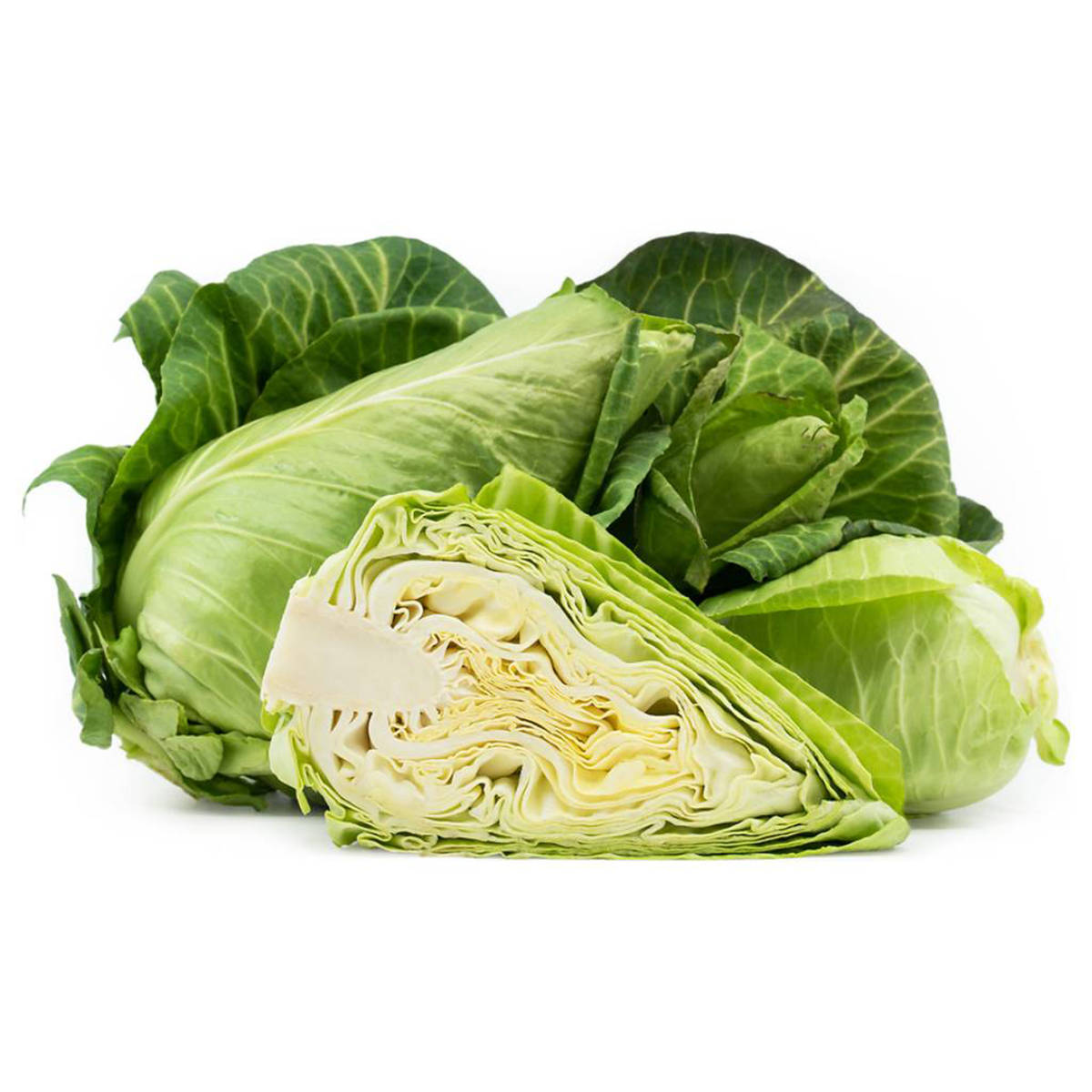 Green Pointed Cabbage - Pesticide Free