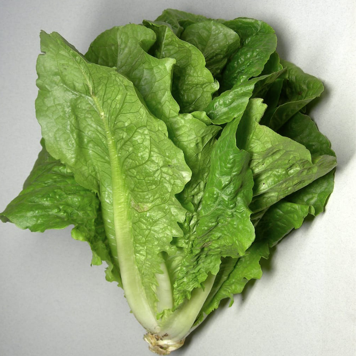 Lettuce Balady