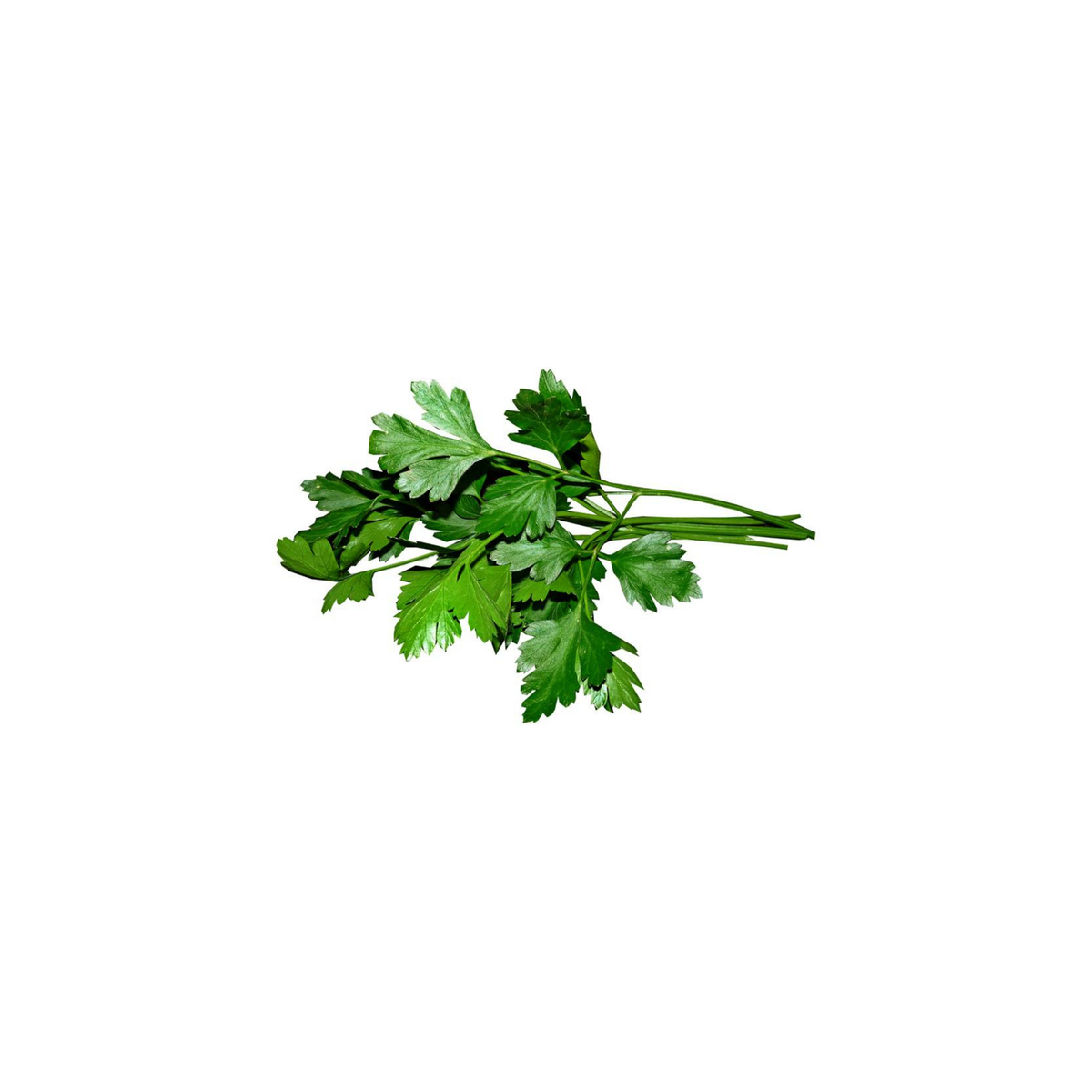 Parsley - Pesticide Free