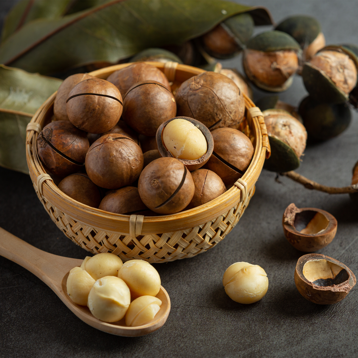 Raw Macadamia