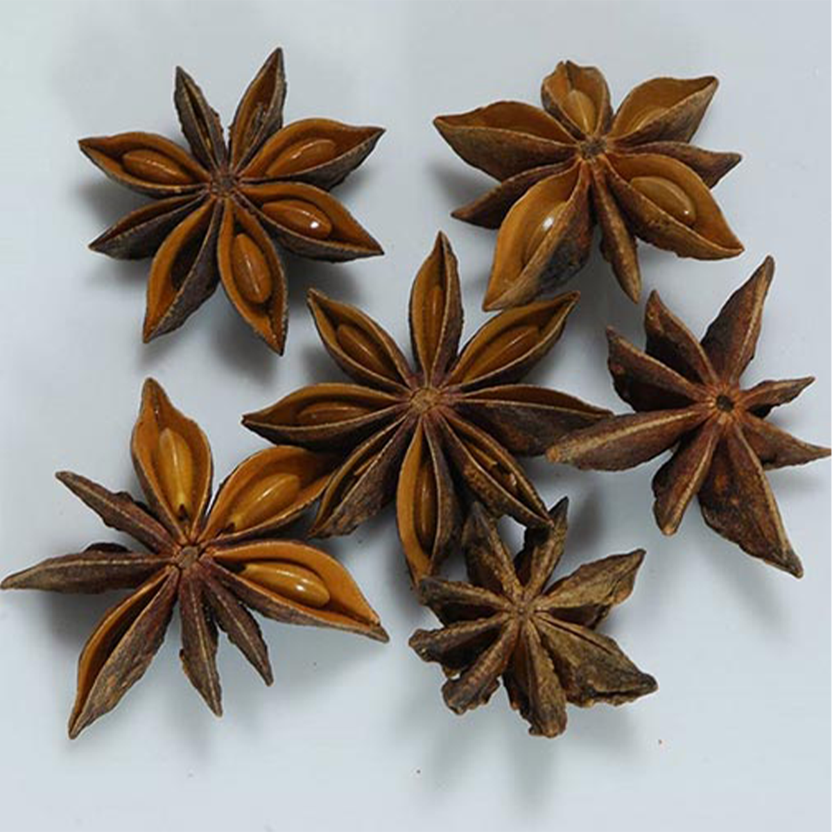 Star Anise Dried