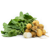 Yellow Radish - Pesticide Free