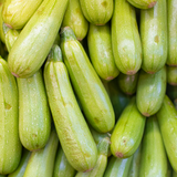 Courgette / Zucchini