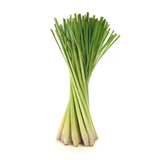 Lemon Grass - Dried