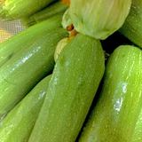 Courgette/Zucchini