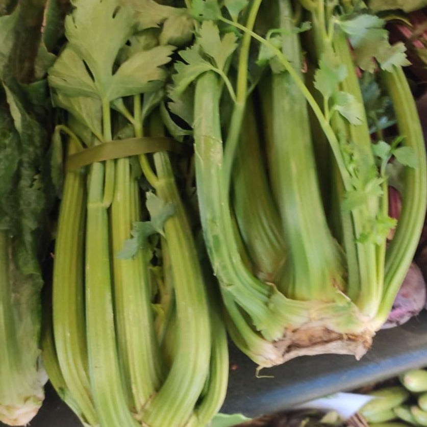 Celery local Organic