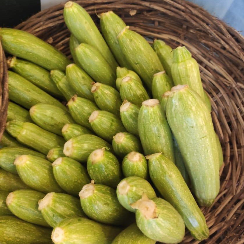 Courgette/Zucchini Organic