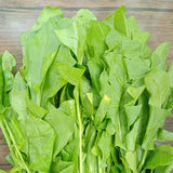 Spinach Organic