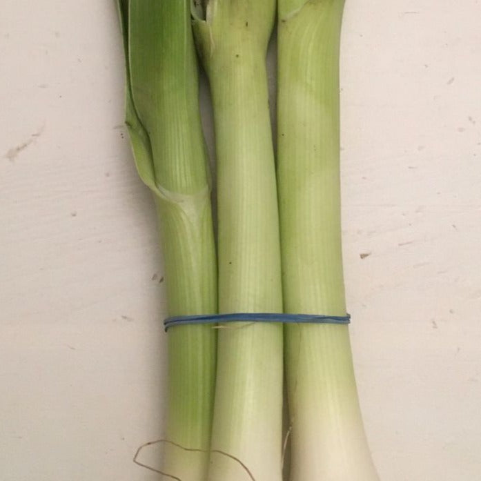 Leek Organic