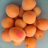 Apricots Organic