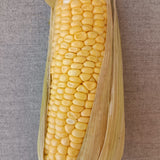 Corn on the Cob Organic