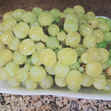 White grapes