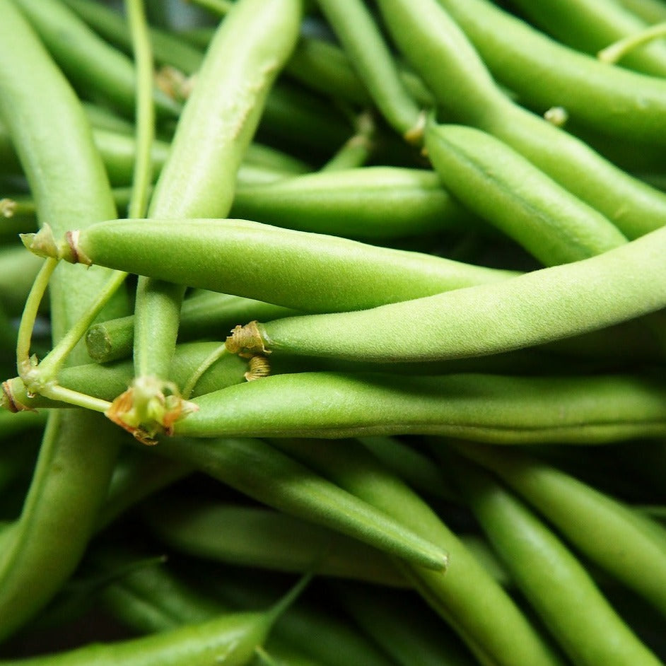 Green Beans Organic