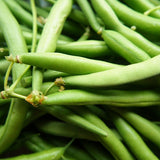 Green Beans Organic