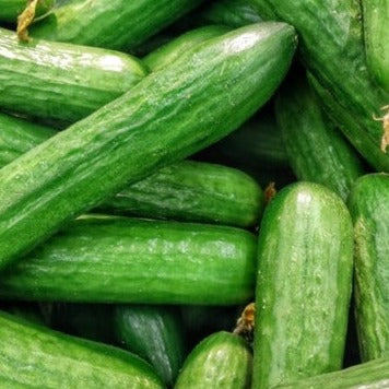 Cucumbers Organic