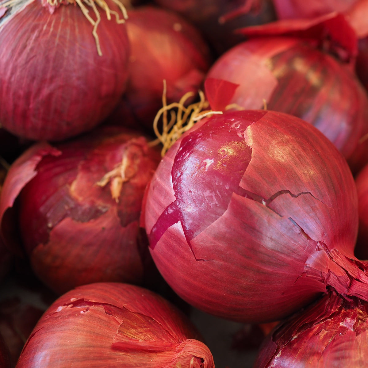 Red Onions